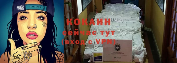 шишки Лагань