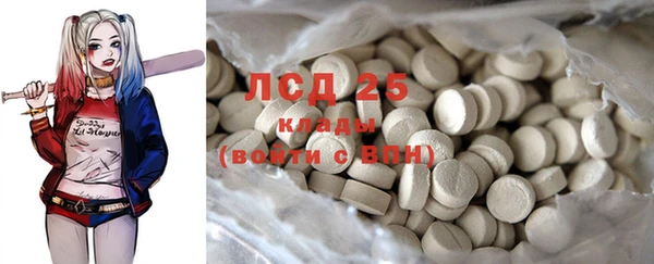 ГАЛЛЮЦИНОГЕННЫЕ ГРИБЫ Лабытнанги