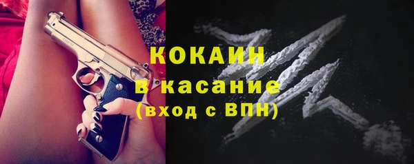шишки Лагань