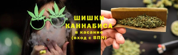ГАЛЛЮЦИНОГЕННЫЕ ГРИБЫ Лабытнанги