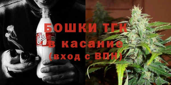 шишки Лагань