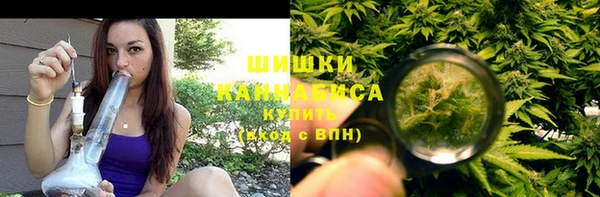 шишки Лагань