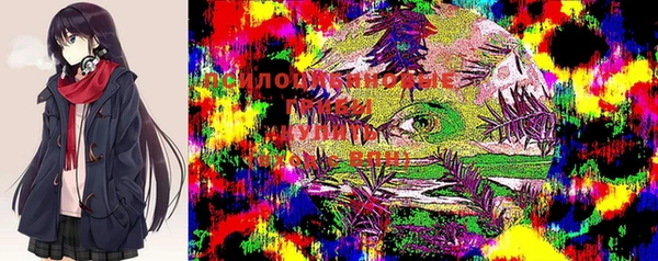 ГАЛЛЮЦИНОГЕННЫЕ ГРИБЫ Лабытнанги