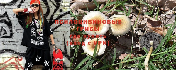 ГАЛЛЮЦИНОГЕННЫЕ ГРИБЫ Лабытнанги