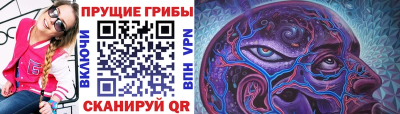 Купить  Кореновск  Галлюциногенные грибы прущие грибы 